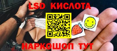 крисы Гусев