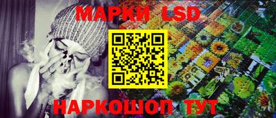 крисы Гусев