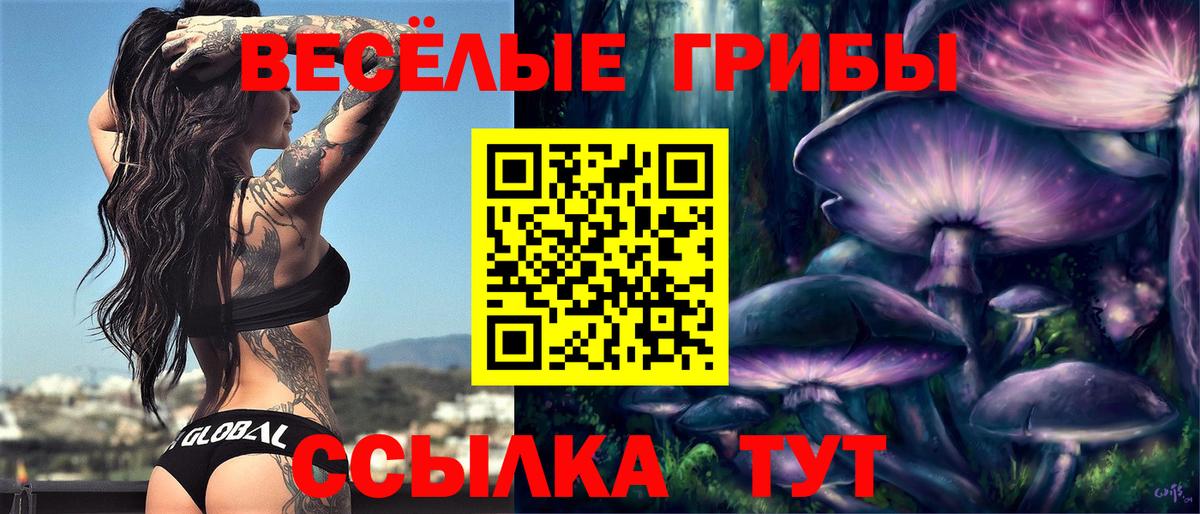 Галлюциногенные грибы прущие грибы Ижевск